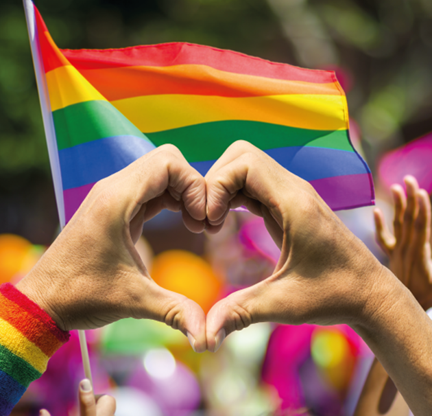 Pride-1-530x510.png