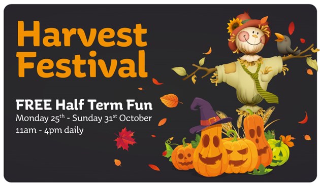 108218-Harvest-Festival-Website-WhatsOn.jpg