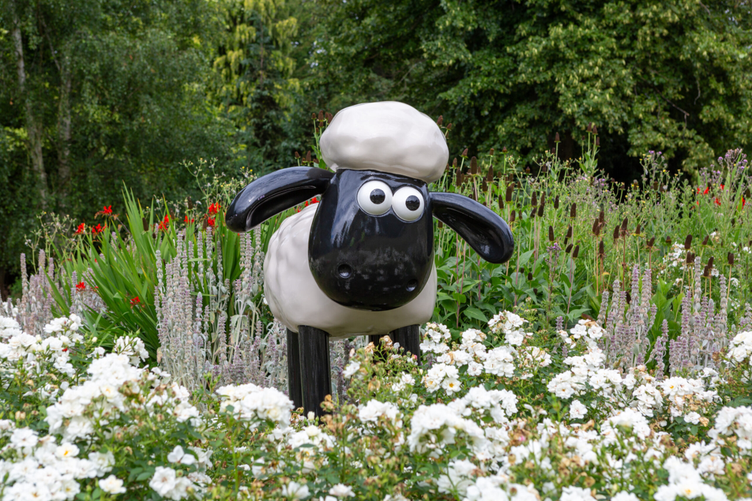 Shaun with flowers