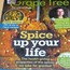 Grape Tree Autumn Issue Magazine