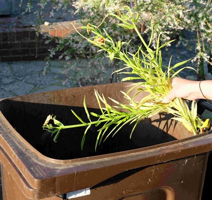 Changes to the Garden Waste Scheme